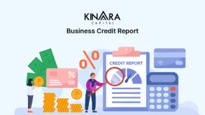 Business Credit Report